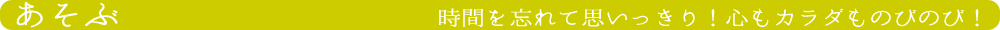 あそぶ　時間を忘れて思いっきり！心もカラダものびのび！