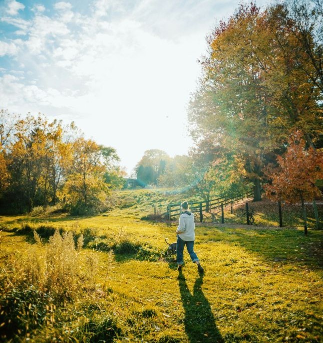 Zo zorg je voor een goede weerstand