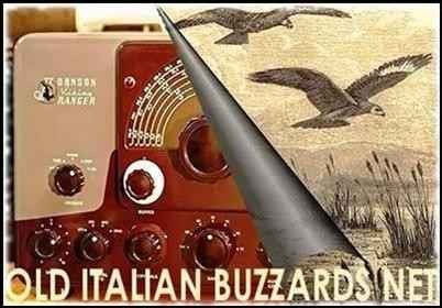logo old italian buzzards net