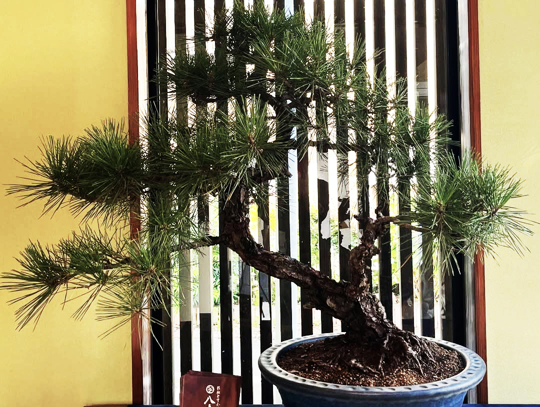 箱根とうふ茶屋 八十八 レセプションを開催しました。