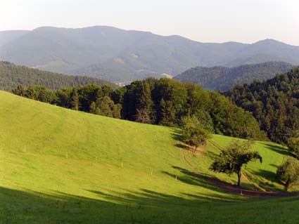 Lindenbühl - Blick zum Kandel