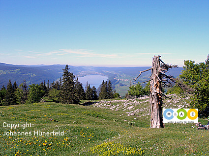 Aussicht vom Dent de Vaulion auf den Lac de Joux