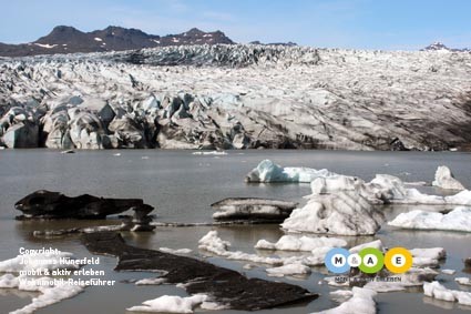 am Fláajökull (IS)