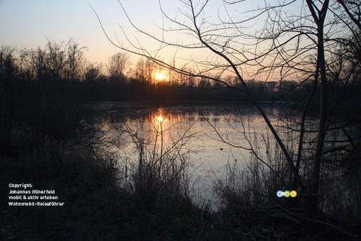 Abend im Naturschutzgebiet Taubergießen