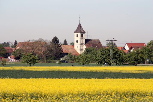 Blühendes Markgräflerland bei Seefelden