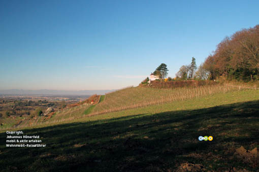 Blick Richtung Vogesen bei Kippenheim