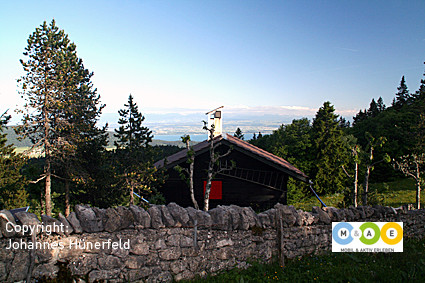 Alpenblick am Col de la Vue des Alpes