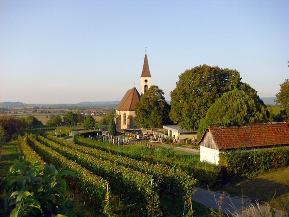 Bergkirche Nimburg