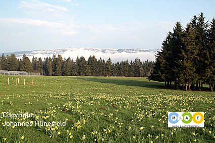 Frühlingswanderung am Mont de Soleil - Blick auf den Chasseral