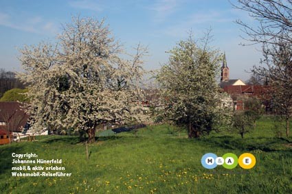 Frühling in Sasbachwalden