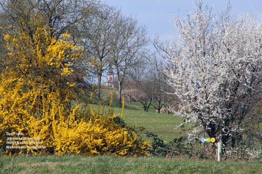 Bei Ettenheim