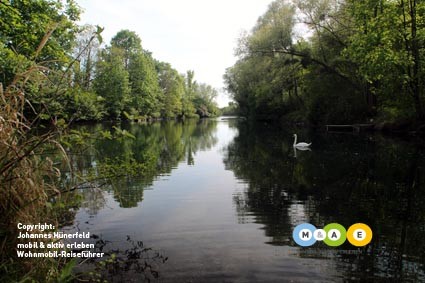 Rheinauen - ein Naturparadies