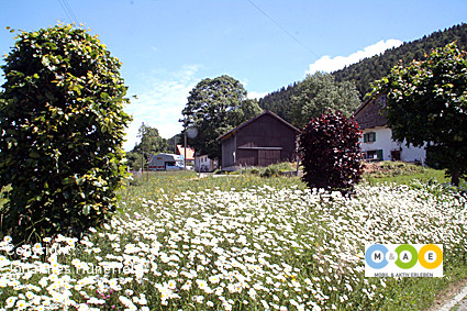 Wanderparkplatz in La Sagne (Skulpturenweg)