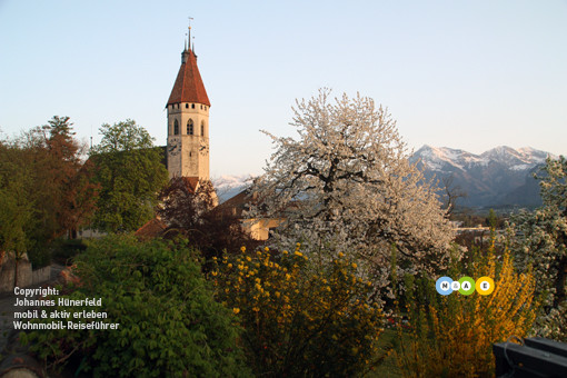 Frühling in Thun