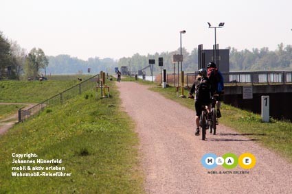 Rad fahren am Rhein