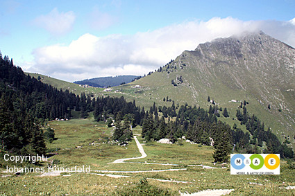 Col de Jamon