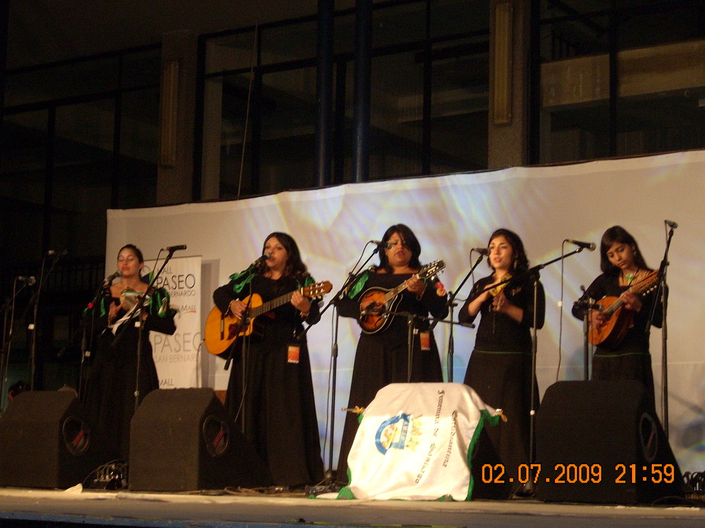 V Encuentro Internacional Estudiantina Las Alondras, Febrero 2009