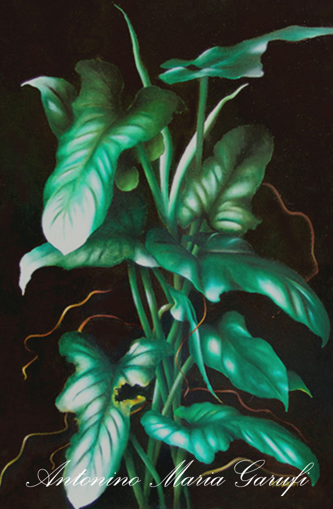 224. "Foglie di Philodendron" Olio su Tela cm.90x60