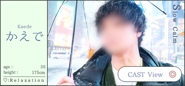 セラピストバナー 札幌 女性用風俗 女風 すすきの 北海道 レンタル彼氏 デートコース 出張ホスト 雨はしずかに