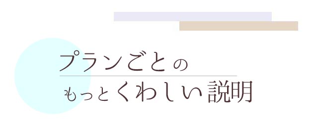 【プランごとのもっと詳しい説明】札幌　女性用風俗　雨はしずかに　女風　レンタル彼氏　デート　性感マッサージ　イケメン