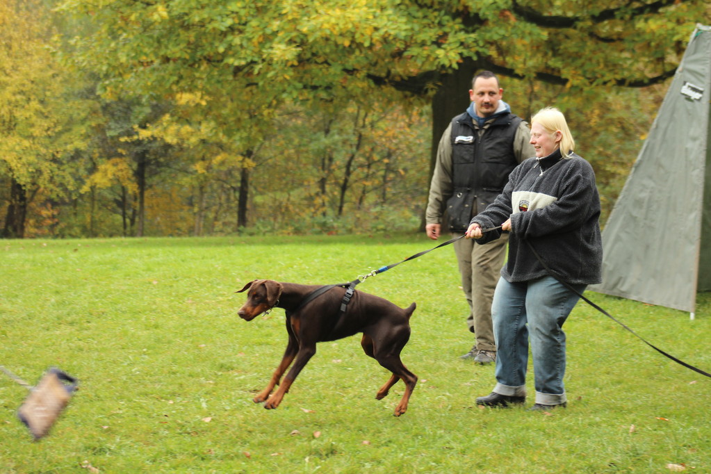 2011-10-28 Schwarzenholz/Germany