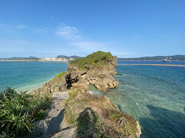 たんぽぽ舎高江特派員報告　2020220