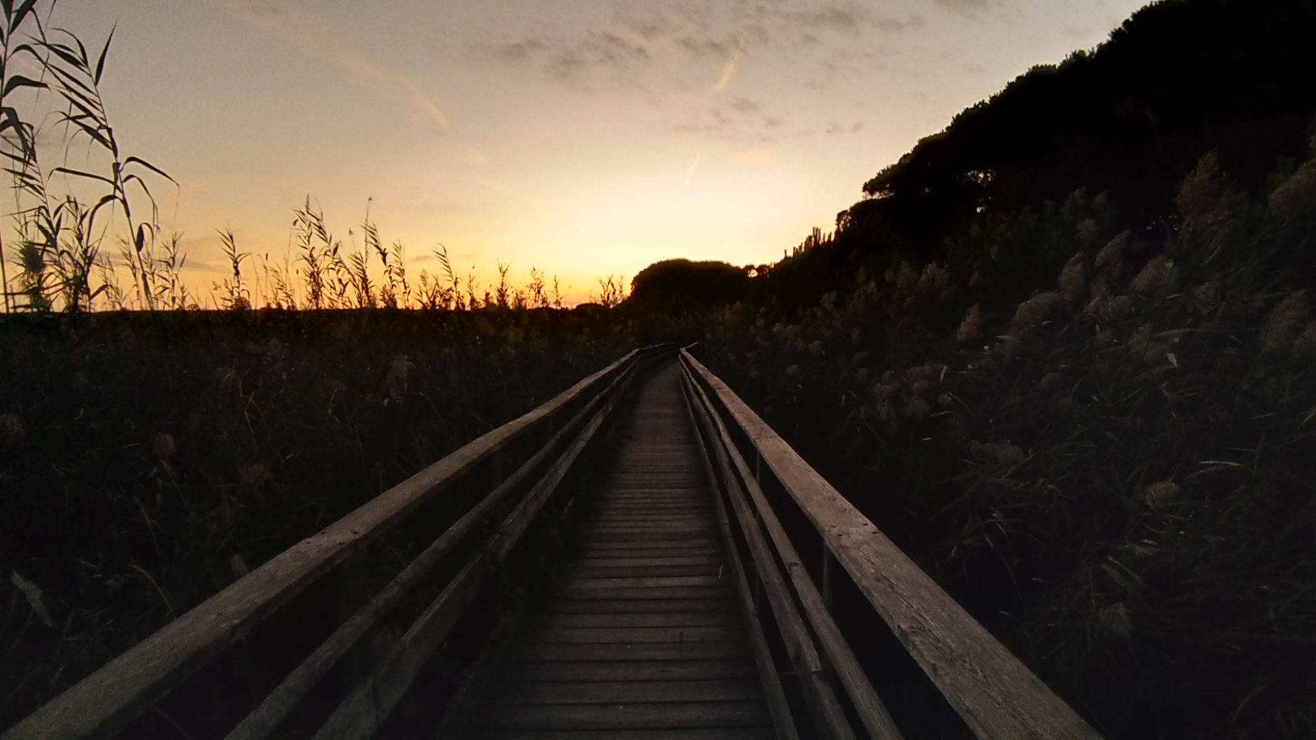 Bellezza dello stagno di Platamona, a pochi km da Sassari.