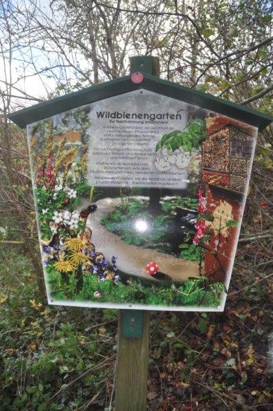 Wildbienengarten