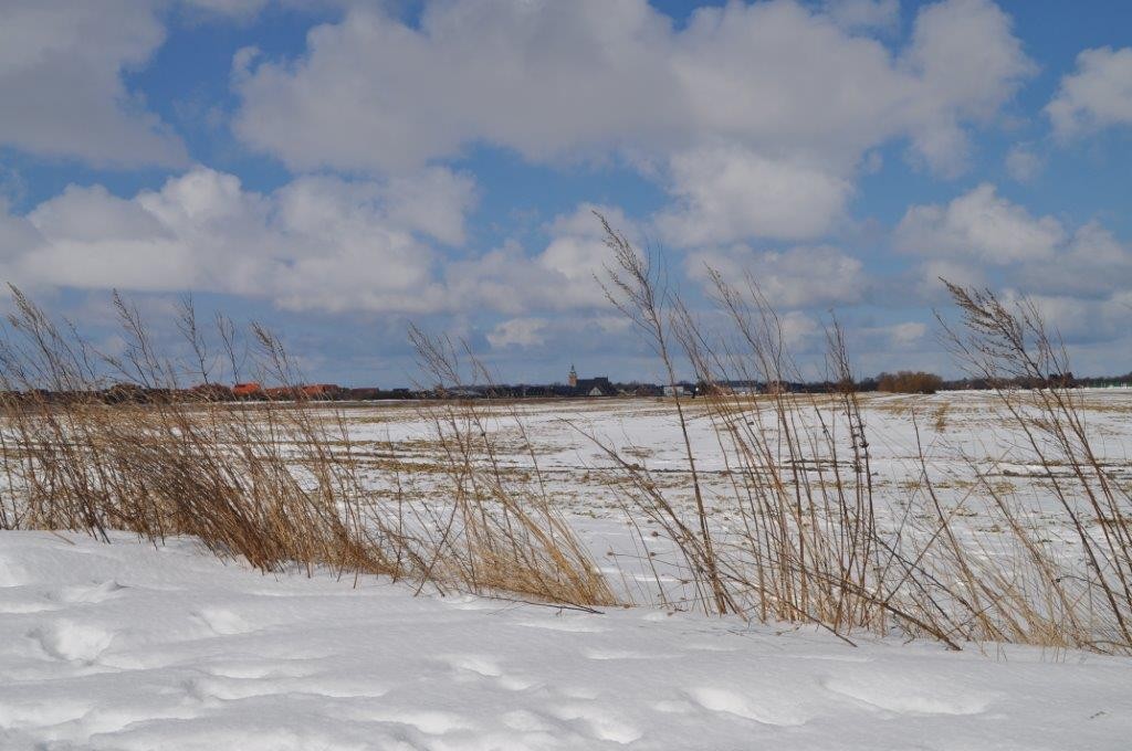 Winter auf Fehmarn