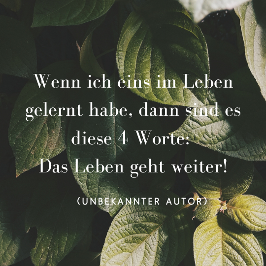 Das Leben Geht Weiter Spruch | DE Spruch