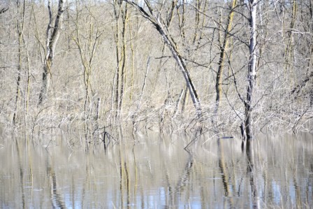 "Lagoni" foto