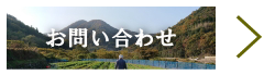 お問い合わせ先