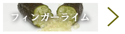 国内産（広島県江田島市産）フィンガーライム