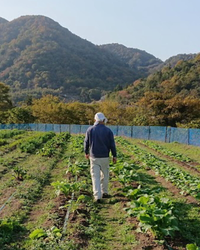 健康菜園　拾得　店主