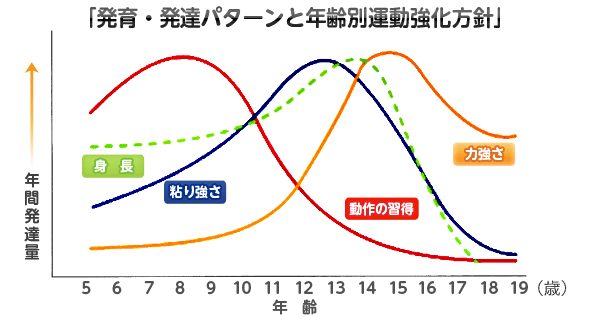 トレーニングジュニア期からの「身体能力開発トレーニング」 トレーニングジュニア期からの「身体能力開発トレーニング