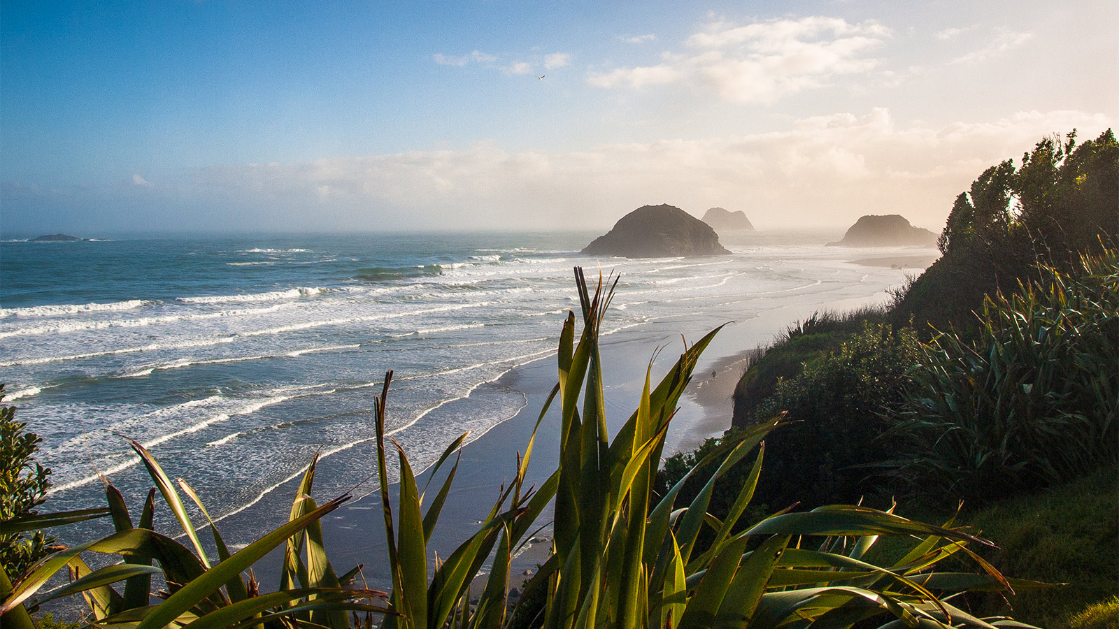 Auckland – hier grüßen die Maori