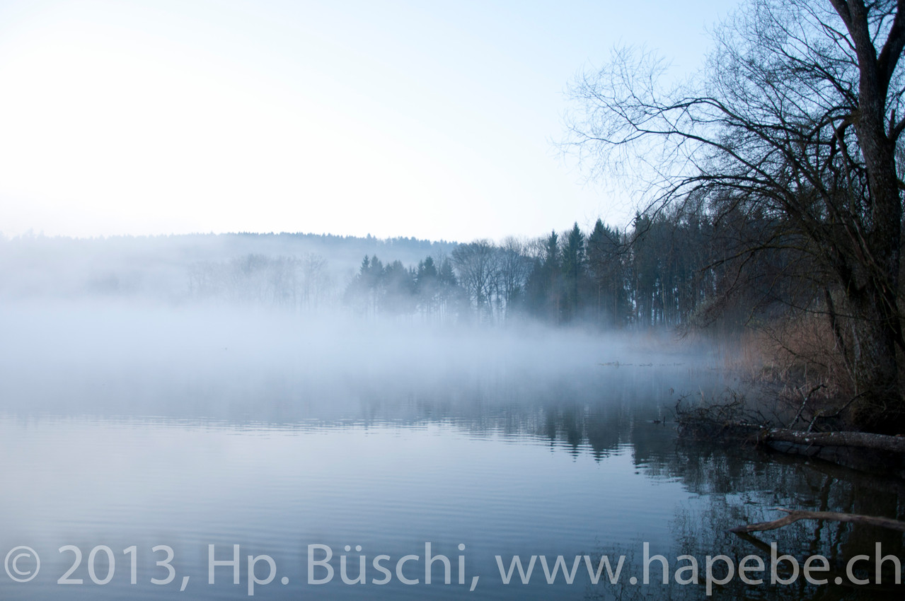 Morgenerwachen am Burgäschisee