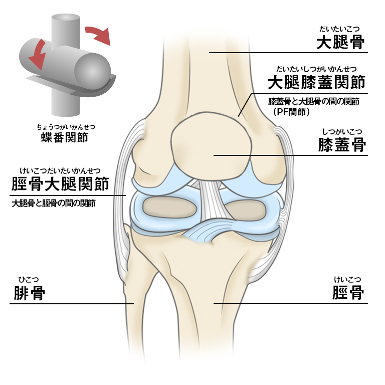 膝の痛み