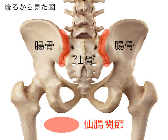 股関節の痛み