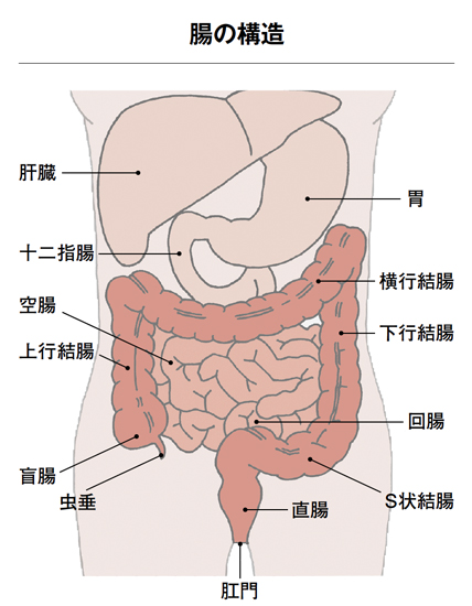 朝起きる時の腰痛