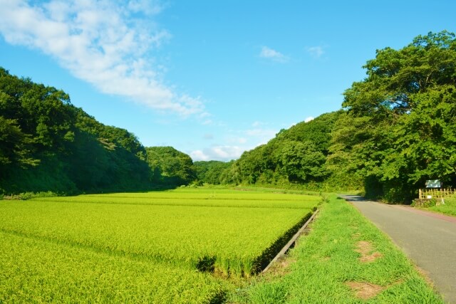 農地