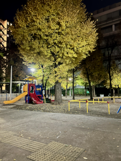 紅葉が綺麗な金竜公園