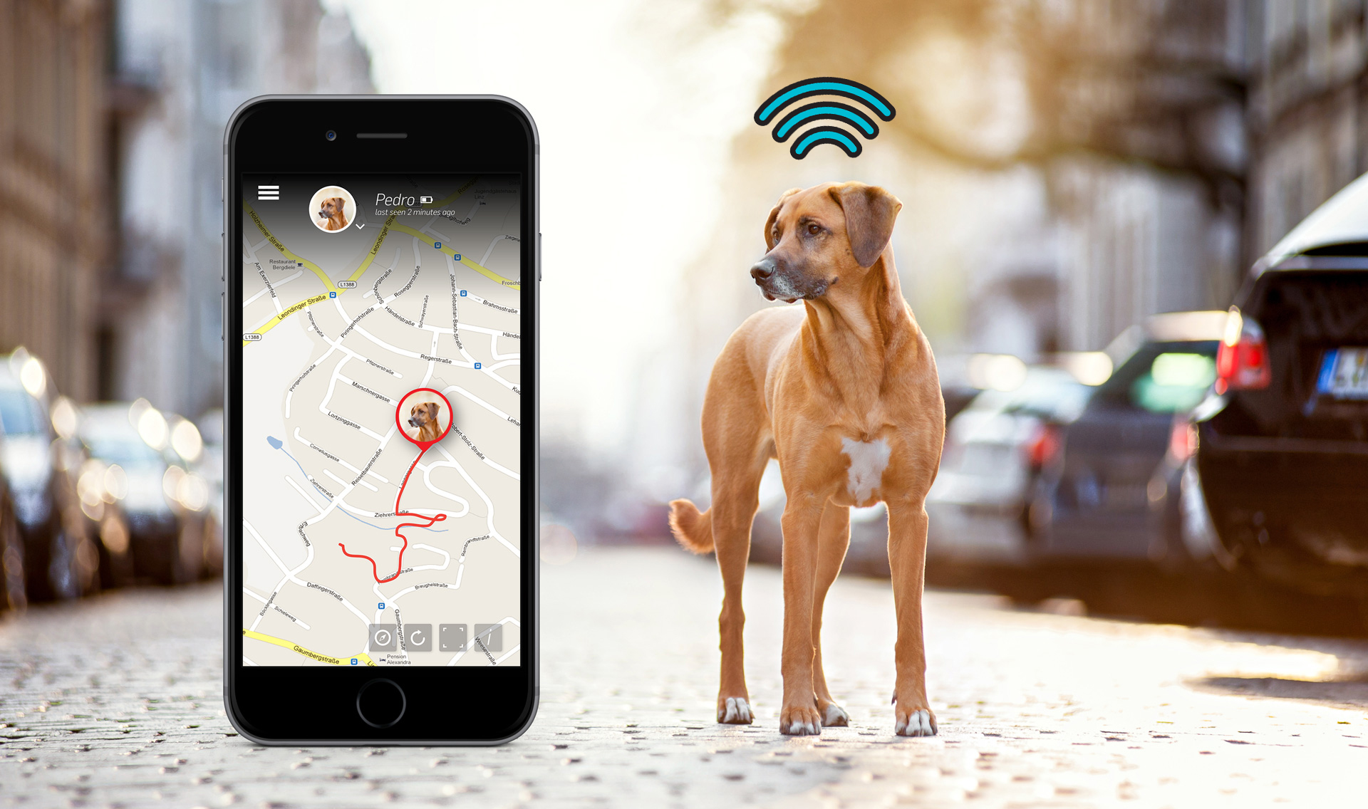 Estos son los mejores GPS para mascotas