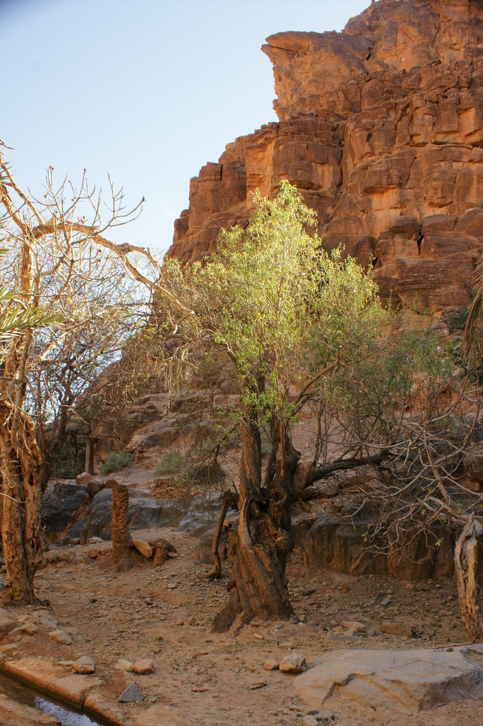 ganz unten im Oued