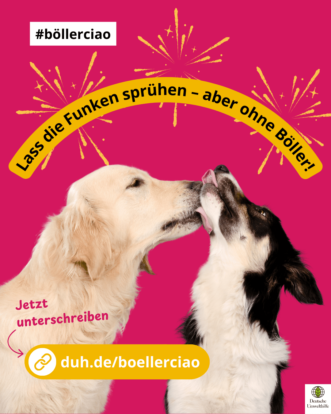 Sylvesterknaller, unsere Hunde haben Angst