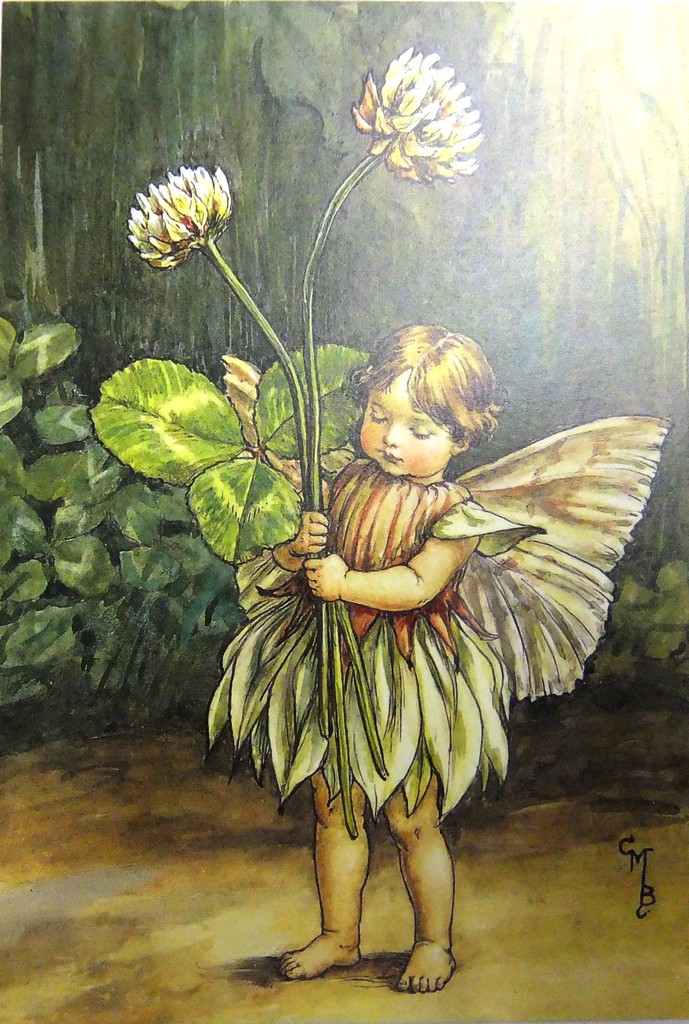 ファッションシーンで話題のこれから流行るブランド12選 Flower Fairies すべてある分のみで終了となります - ペーパー テーブル用品