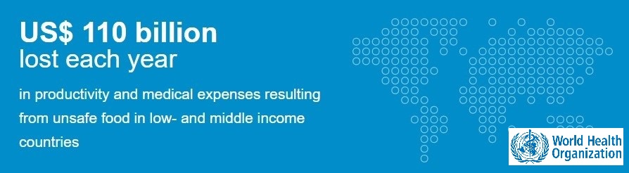 Fact 4 : $110 billion lost each year resulting from UNSAFE FOOD