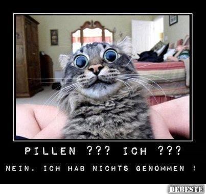 Dicke MeuPse Kostenlos Dicke MeuPse Kostenlos