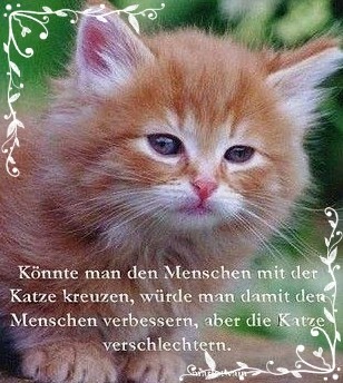 Geldgeschenke Zur Hochzeit 50 Ideen Witzig Originell Verpacken Geldgeschenke Zur Hochzeit 50 Ideen Witzig Originell Verpacken