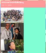 SEEKSURFSHOP店長のBlog　伊良湖